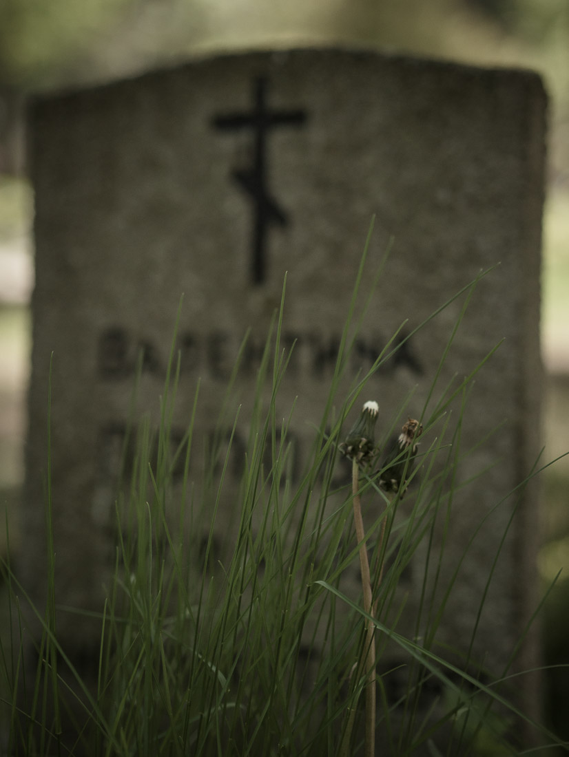 anna rusilko fotografia photography cmentarz cemetery toruń natura nature