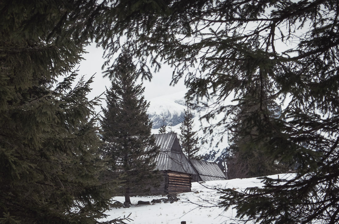 anna rusilko fotografia photography tatry tatras góry mountains polska poland polana rusinowa zima winter