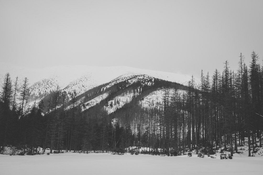 anna rusilko fotografia photography tatry tatras góry mountains polska poland dolina kościeliska zima winter