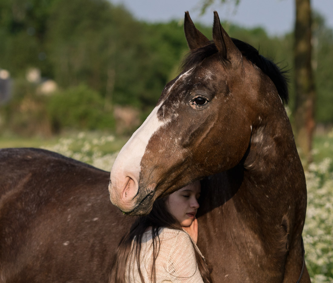 anna rusilko fotografia photography koń ser laser modelka marcelina horse nieszawka