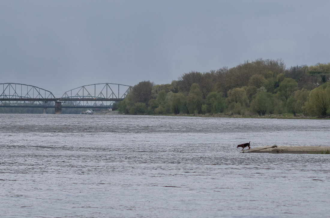 anna rusilko fotografia photography wisła vistula rzeka river toruń kujawsko-pomorskie rok rzeki wisły