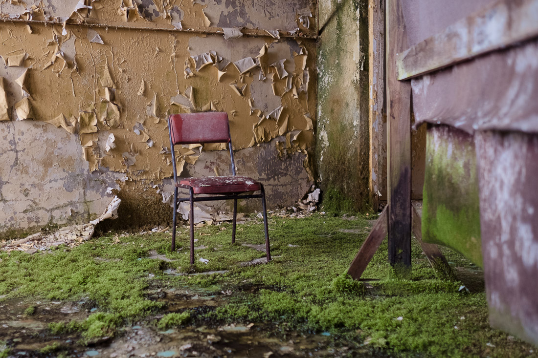 anna rusilko fotografia photography opuszczona świniarnia abandoned pigsty wieś village
