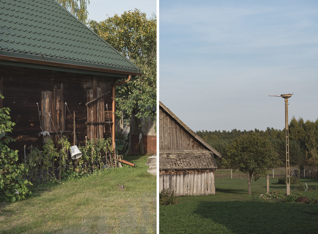 anna rusiłko fotografia photography hajdukowszczyzna podlasie wieś village polska poland macro przyroda nature
