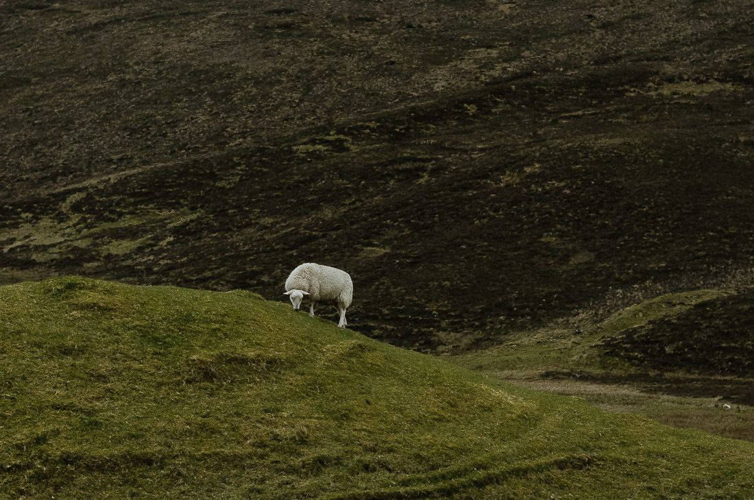 !2 anna rusilko fotografia photography szkocja scotland isle of skye fairy glen -16