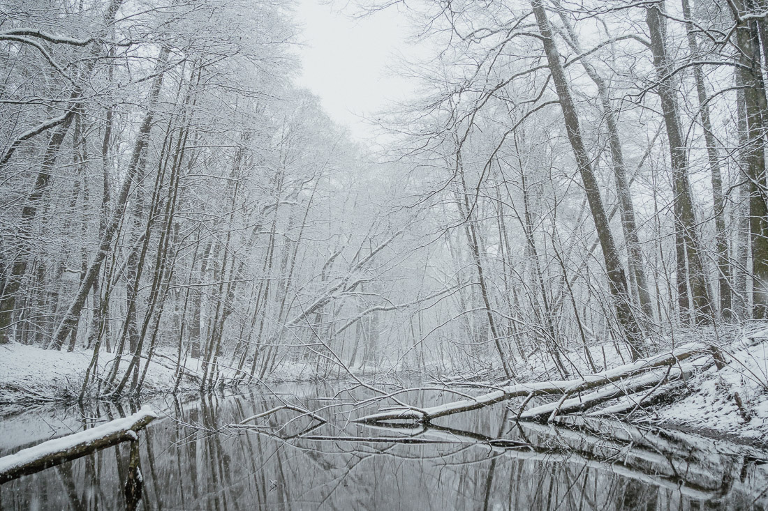 anna rusilko fotografia photography zima toruń mróz winter tsf toruńskie spacery fotograficzne śnieg snow